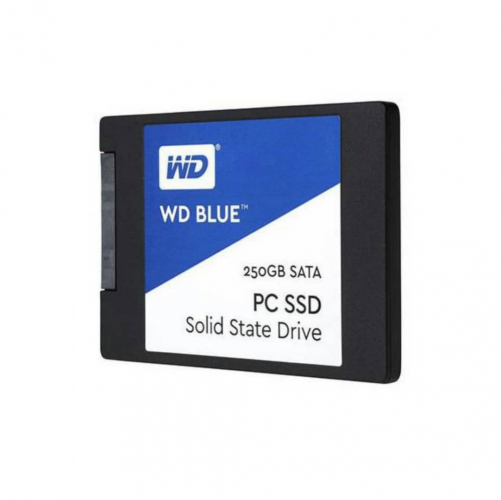 اس اس دی وسترن دیجیتال ظرفیت 250 گیگابایت SSD Western Digital Blue PC