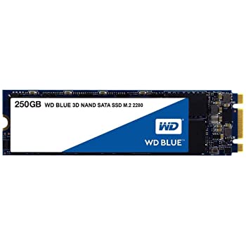 اس اس دی اینترنال وسترن دیجیتال SSD Western Digital Blue WDS250G2B0B ظرفیت 250 گیگابایت